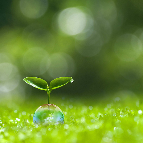 Практикум по экологическому сбору